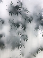 green leafed plants