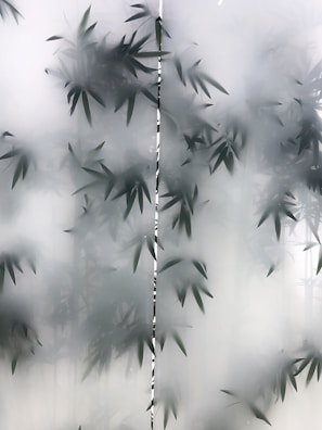 Glass office partition decorated with elegant frosted privacy film featuring subtle branding.