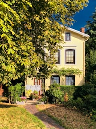 white house between trees