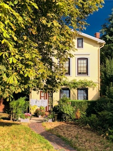white house between trees