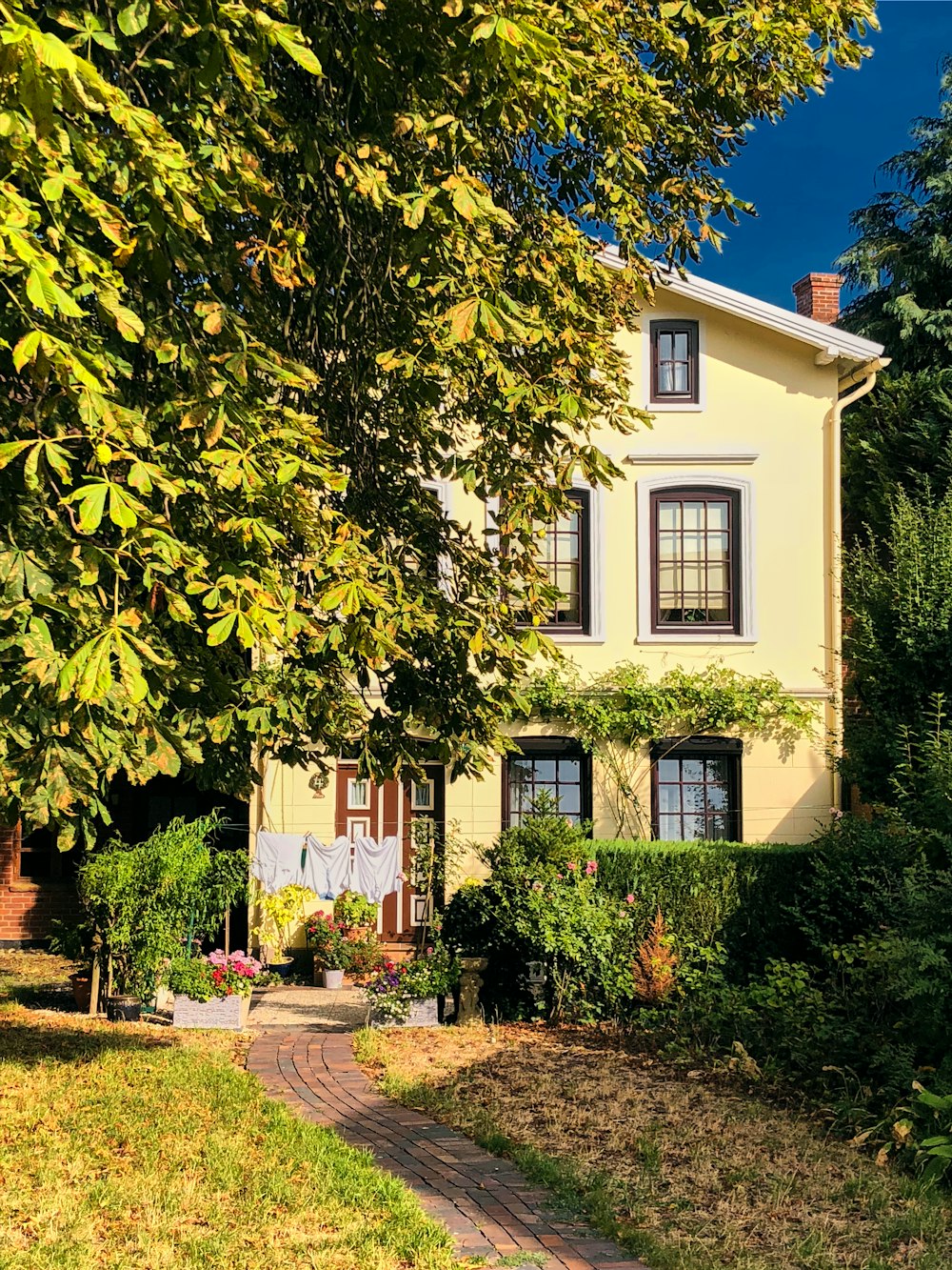 Casa Bianca tra gli alberi