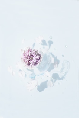 purple flower