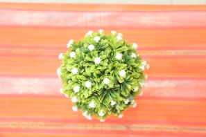 Bright green moringa leaves and vibrant hibiscus flowers arranged artfully on a wooden table