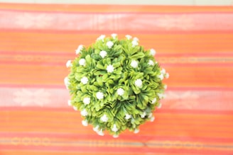Fresh catappa leaves arranged neatly on a traditional woven mat