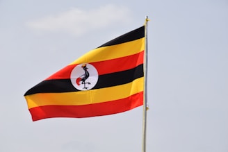 red, yellow, and black flag