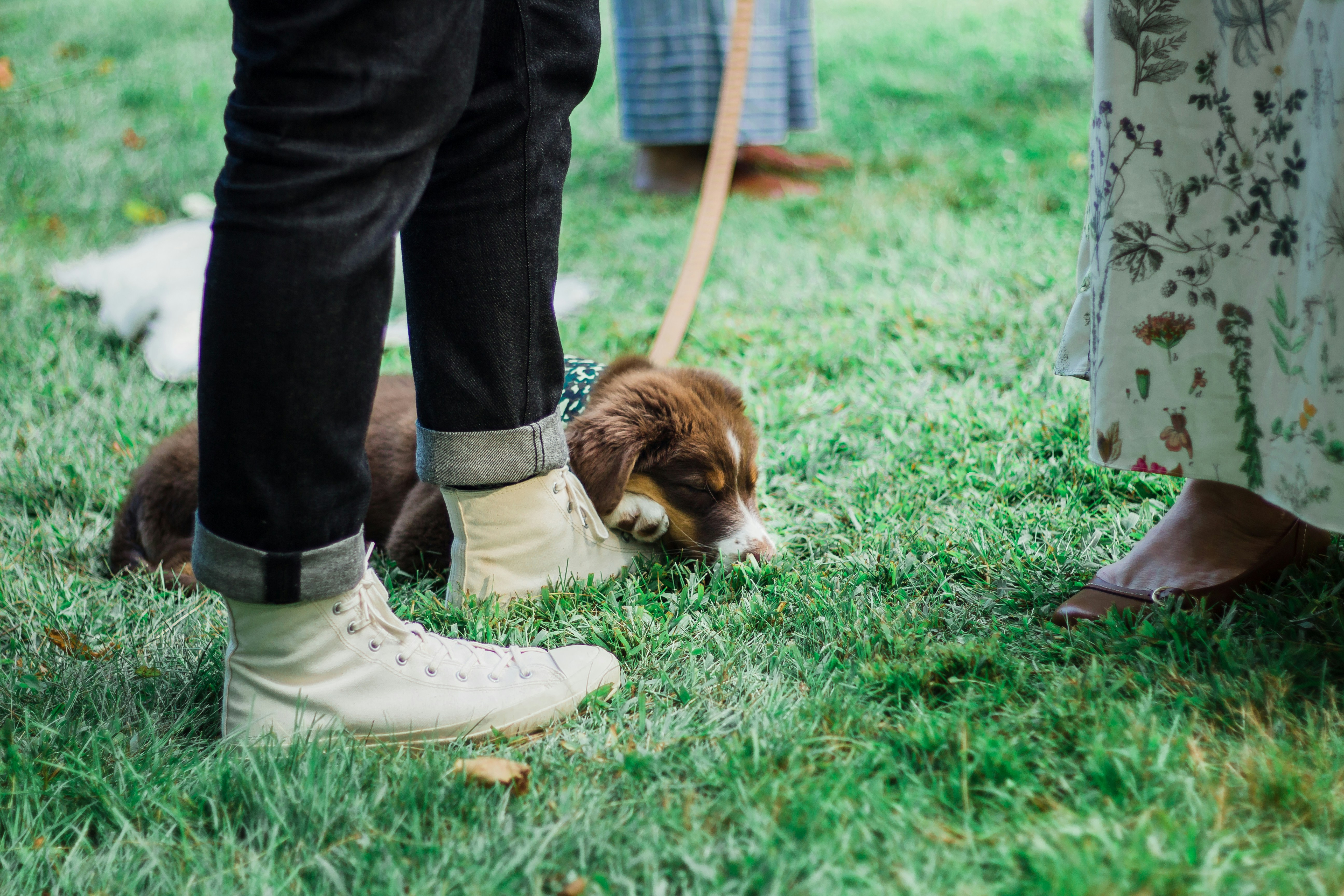 Photo by bonniekdesign