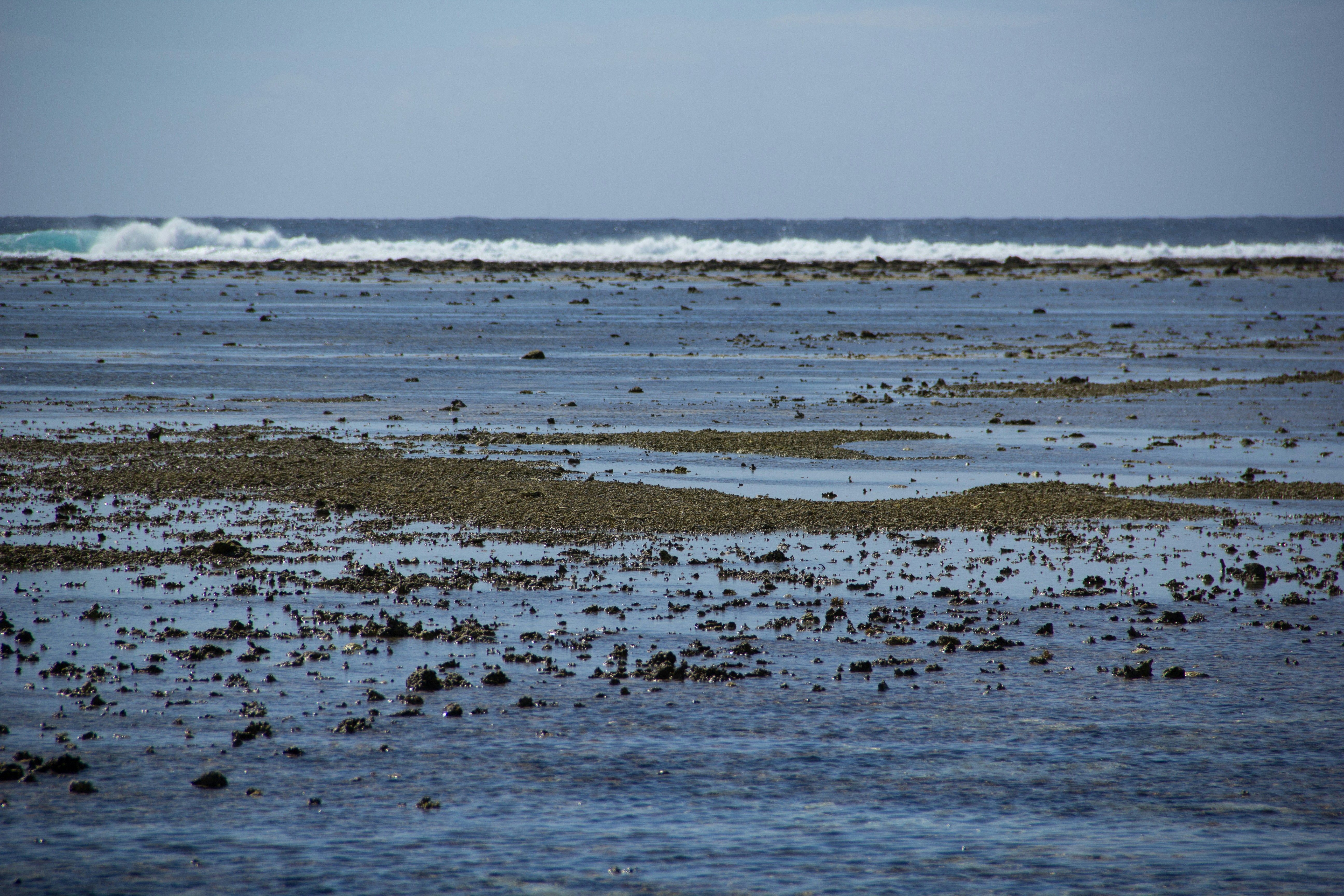 Photo by kinchanvisual