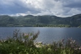 A tranquil lake surrounded by vibrant wildflowers.