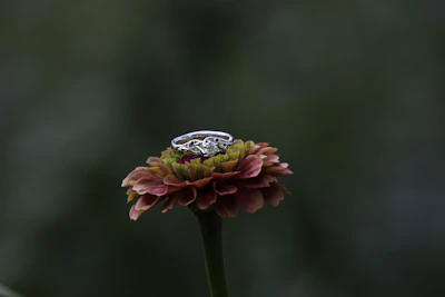 Handcrafted gemstone ring with intricate detailing, placed beside a blooming flower.