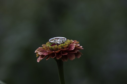 Close-up of a delicate sterling silver ring inspired by antique floral patterns, resting on a bed of green leaves.