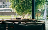An outdoor dining setup featuring eco-friendly tableware.