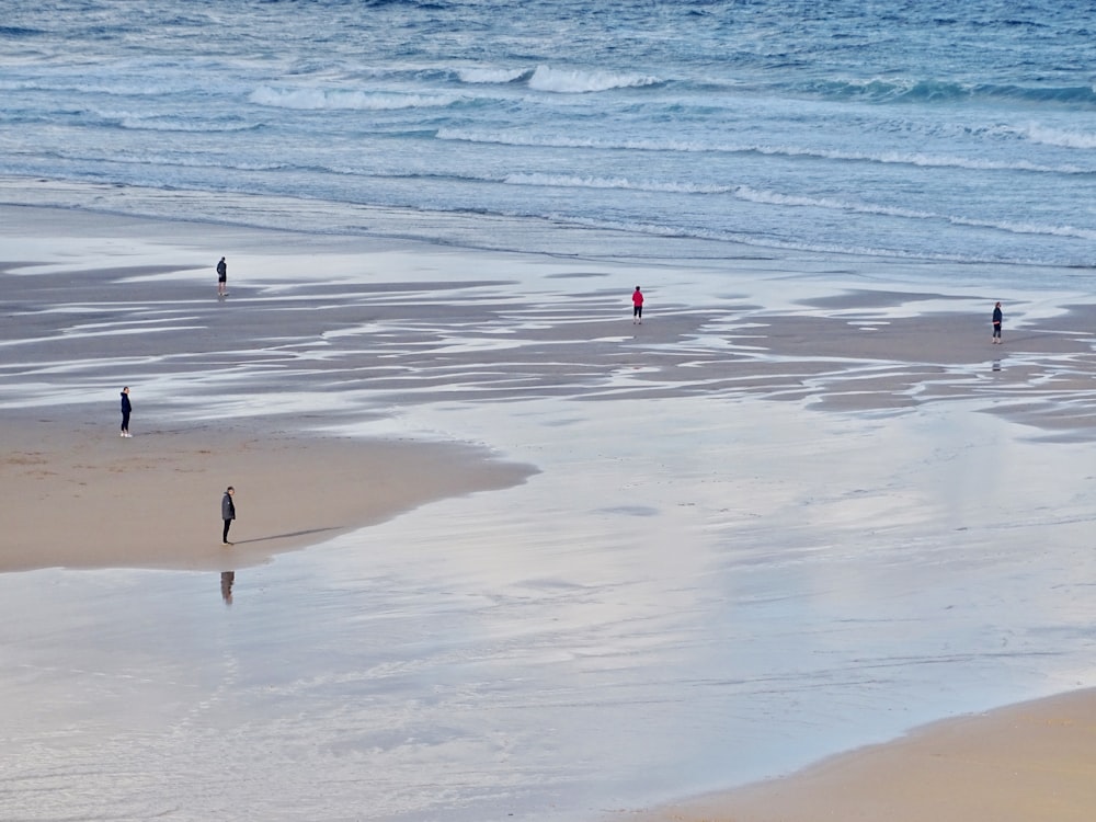 people on seashore