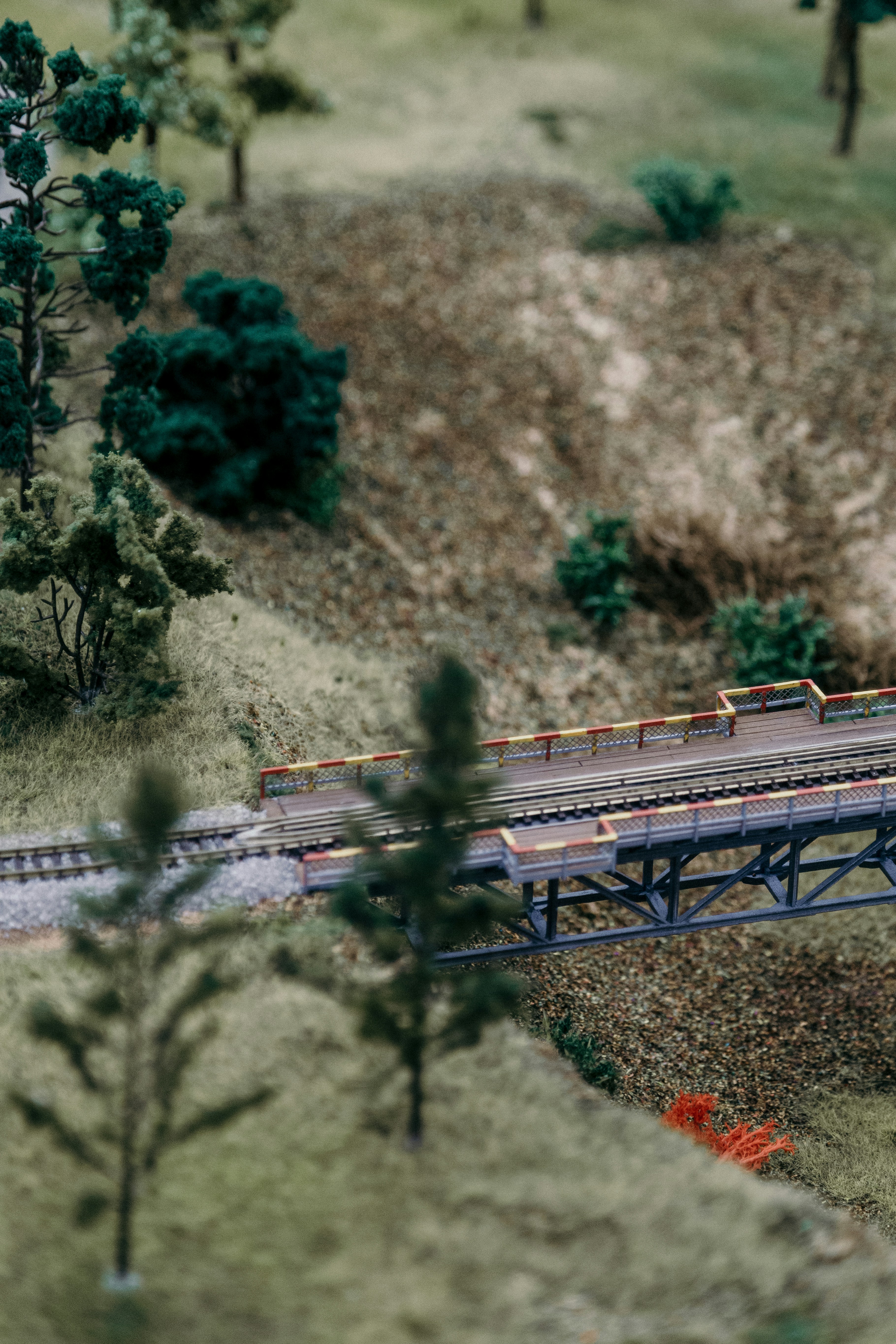 Photo by marjan_blan