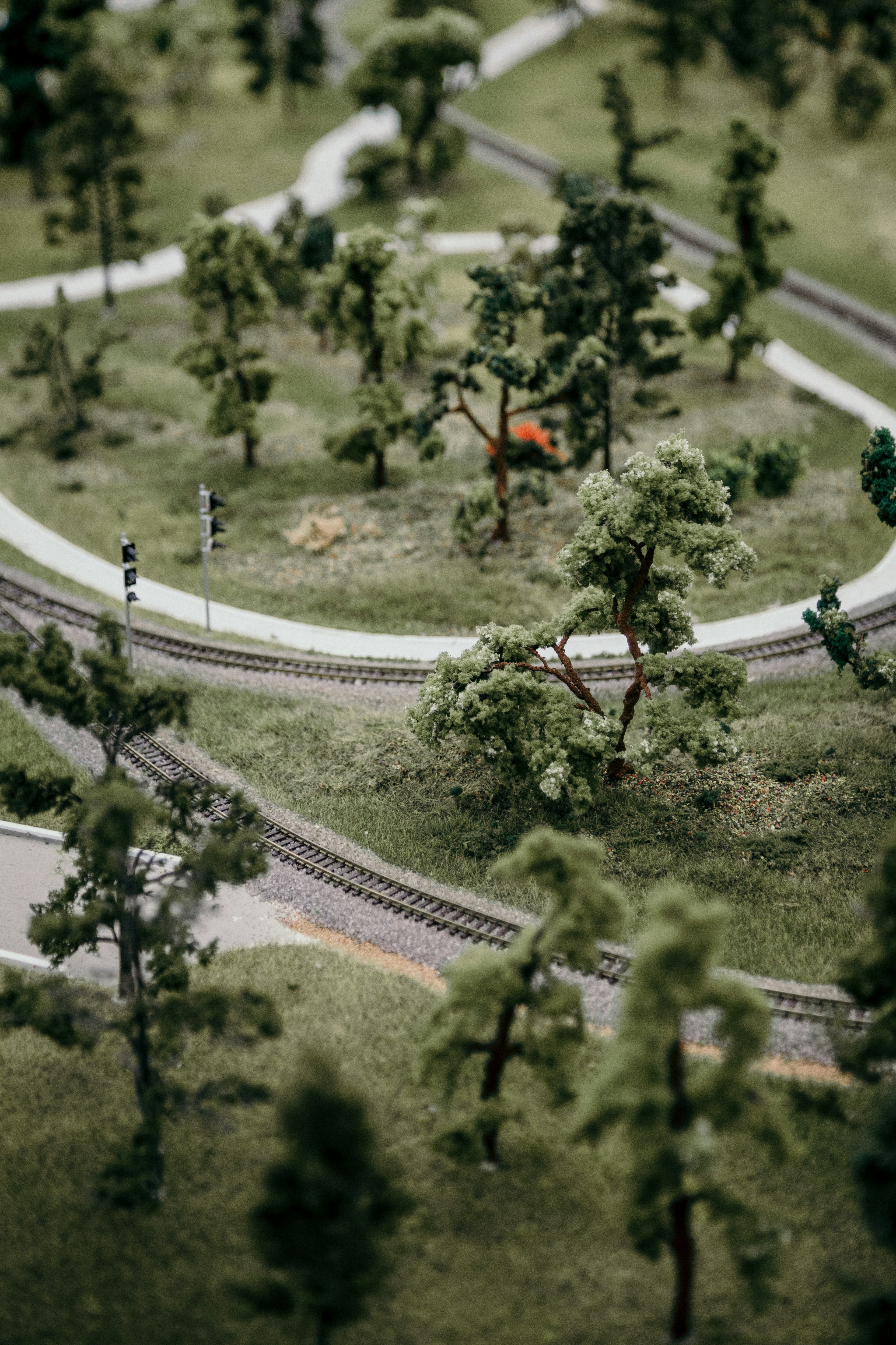 green-leaved trees