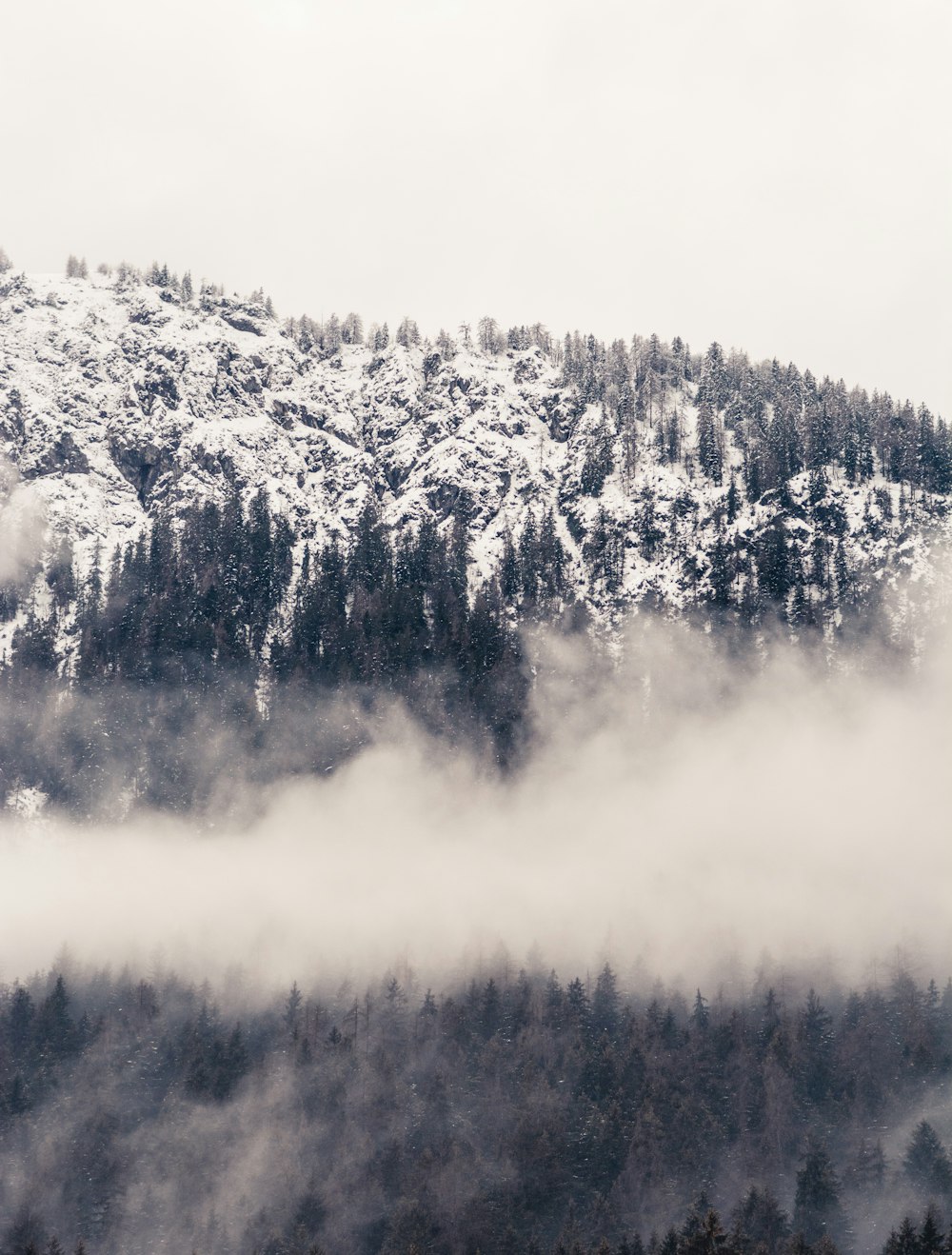 mountain alps covered by white clouds