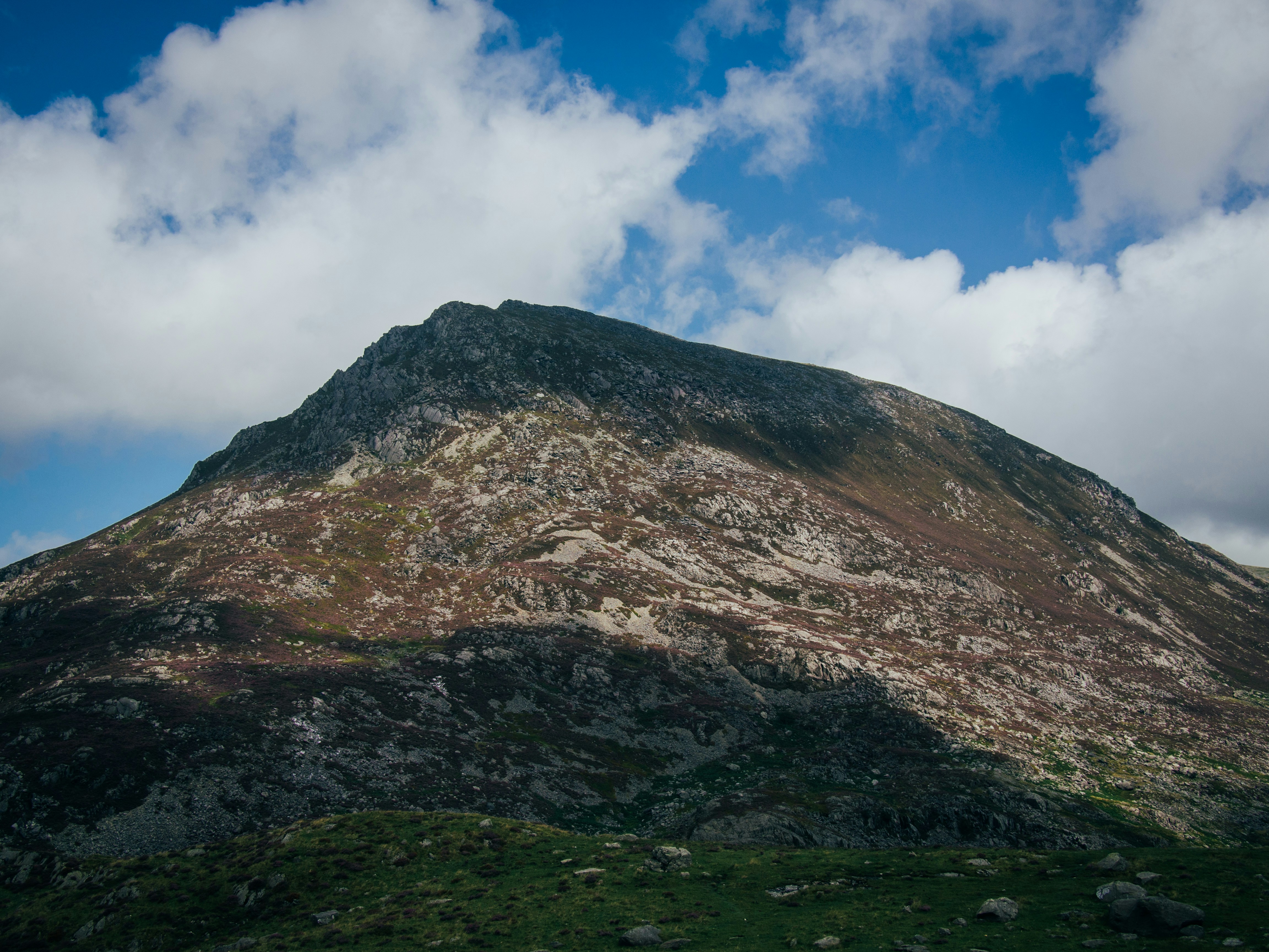 Photo by gregwillson