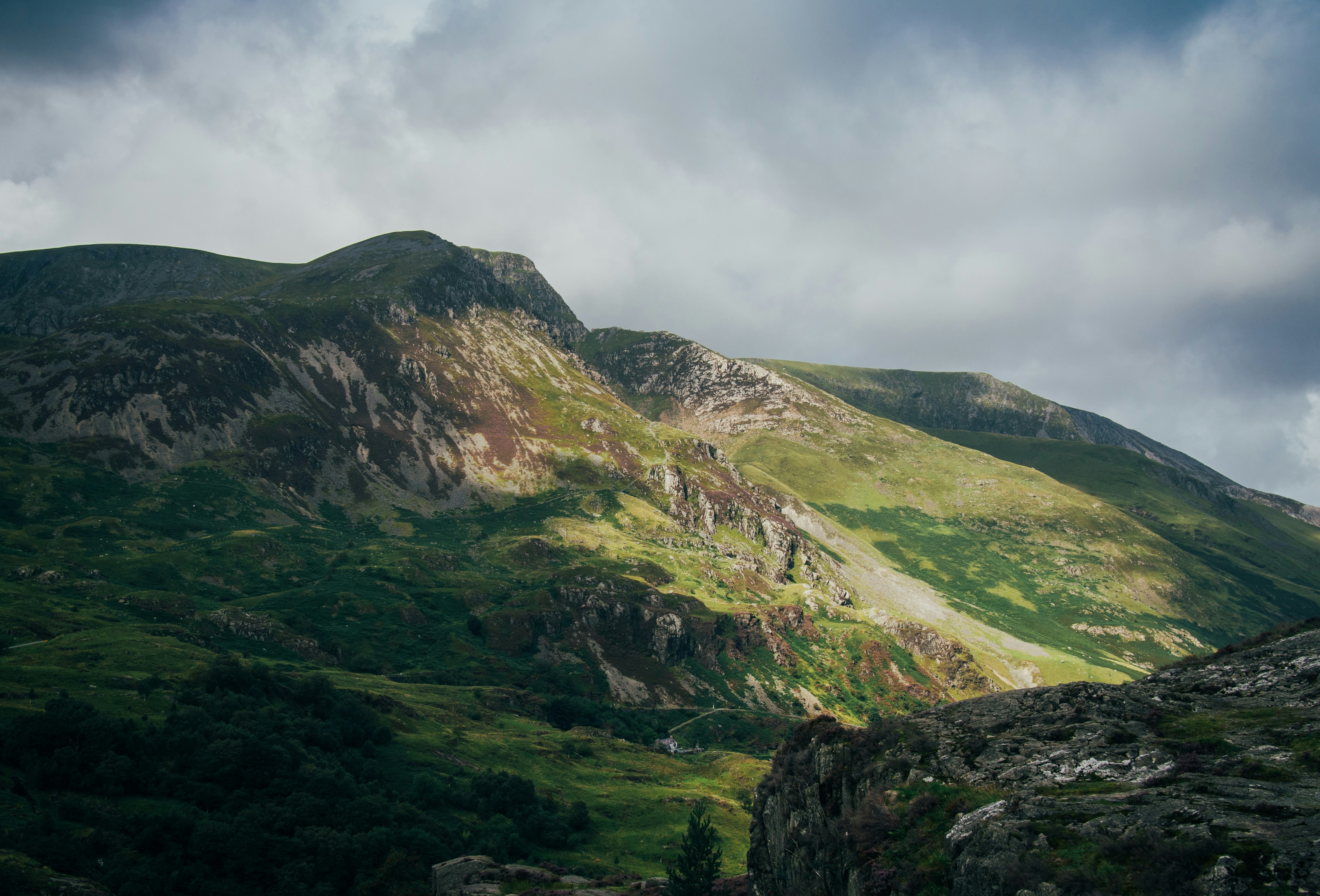 Photo by gregwillson