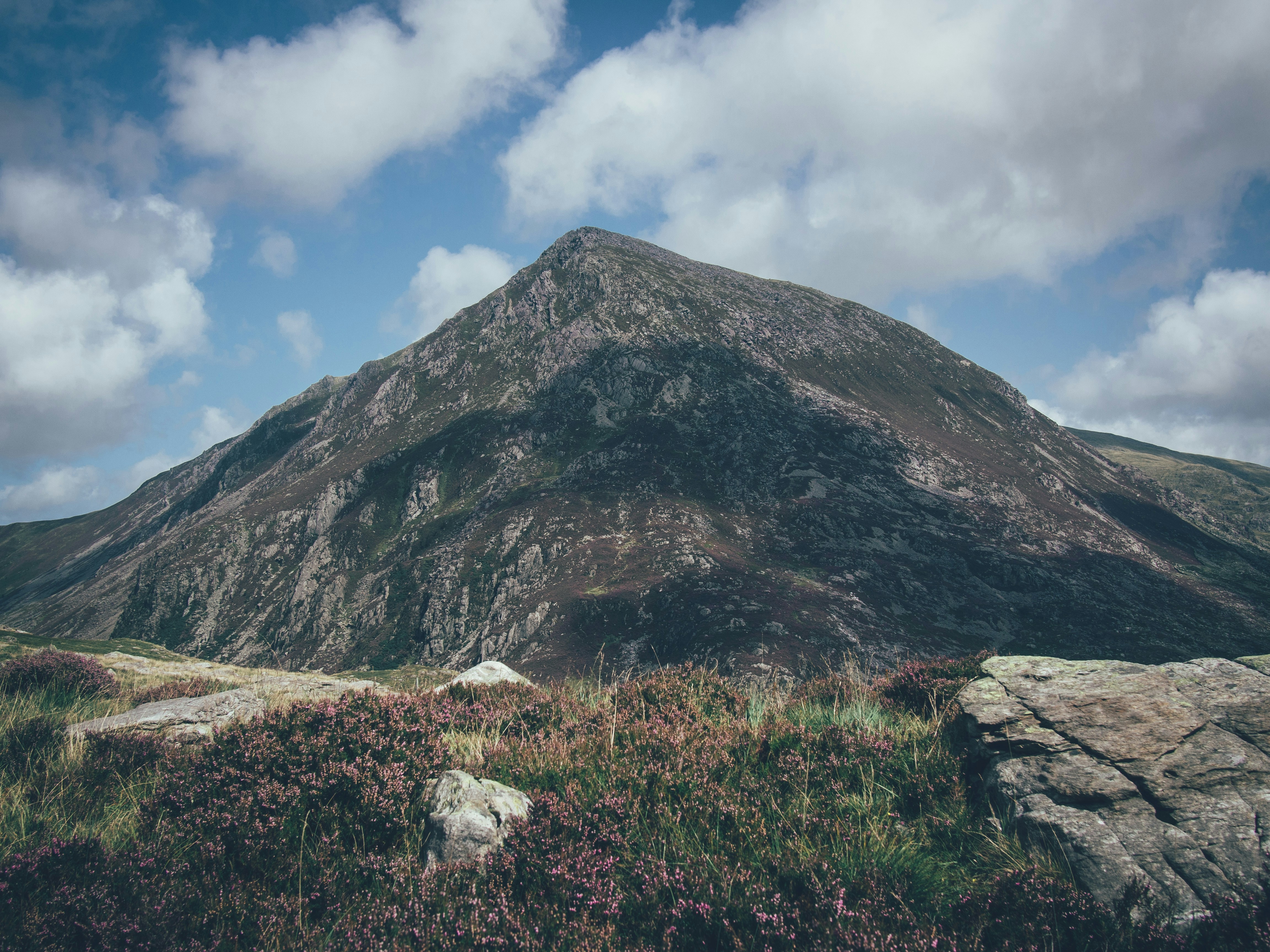 Photo by gregwillson