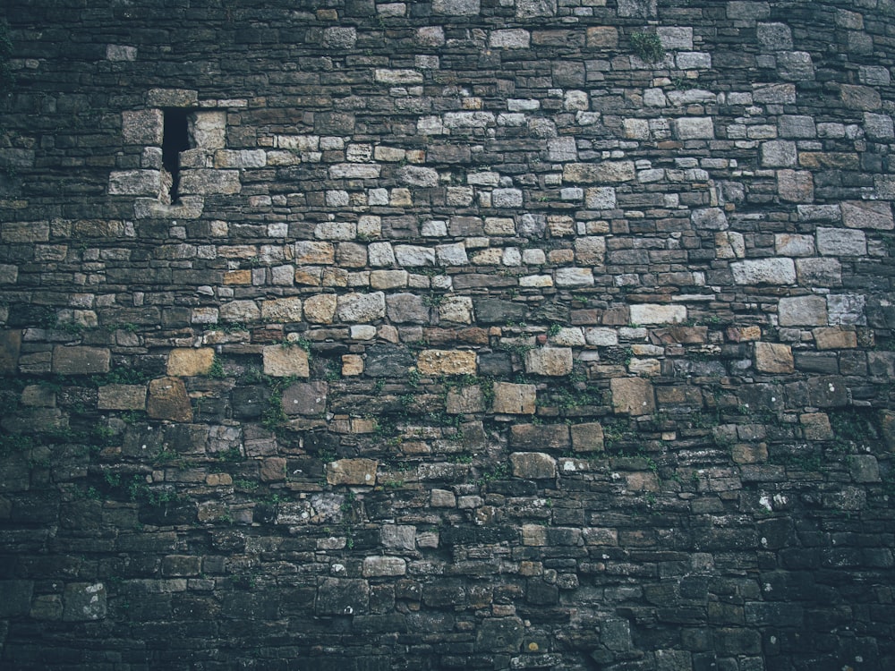 gray bricks wall