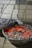 A rustic charcoal grill with burning coals emitting a bright red glow. The grill is placed on a paved surface with its metal lid partially open, allowing a view of the glowing embers and ash.