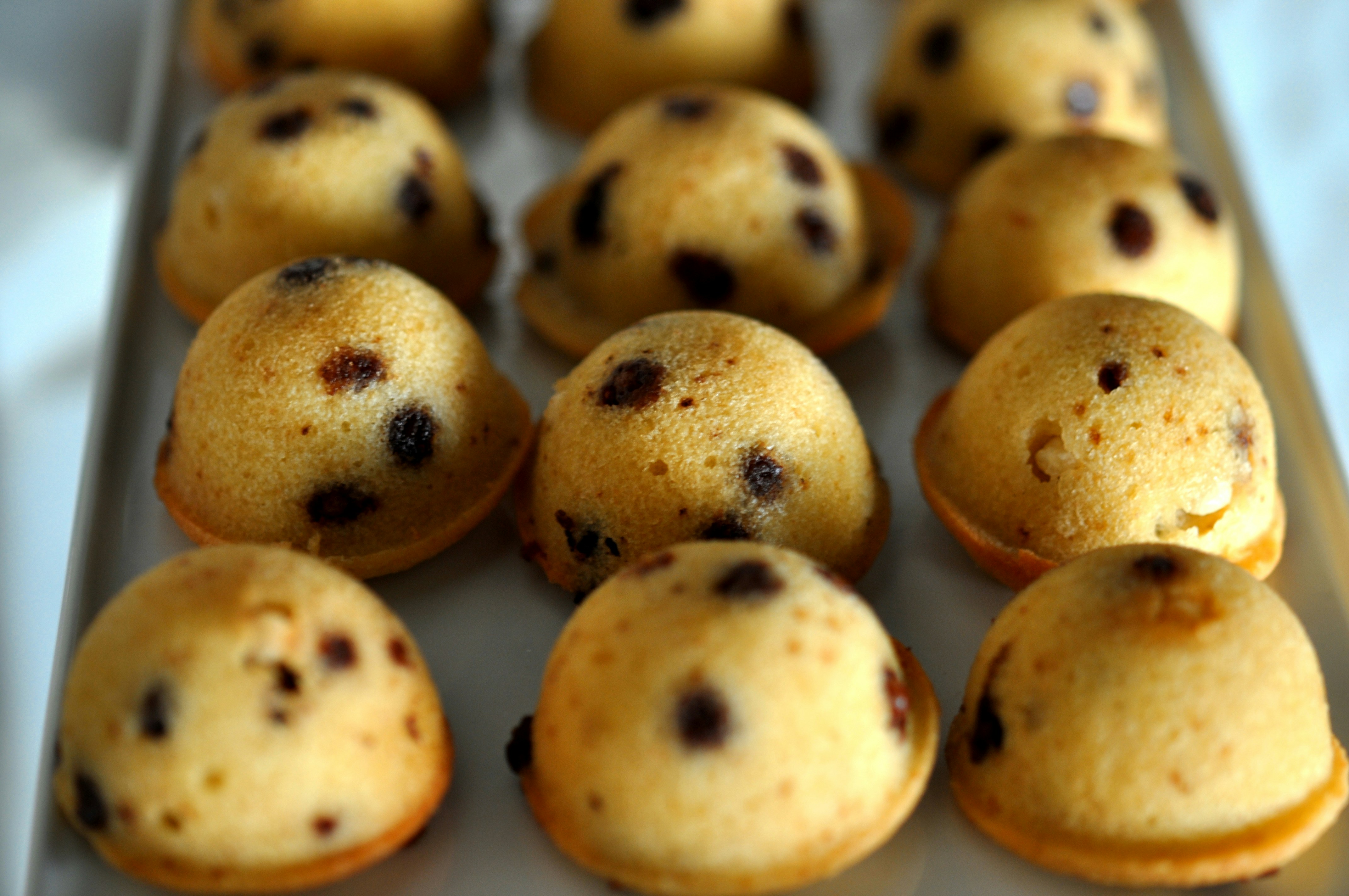 Photo by sanjip_kadel