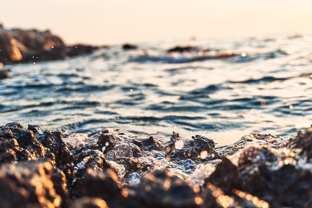 calm water at daytime