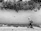A senior man walking confidently along a garden path using a sturdy cane with an ergonomic handle.