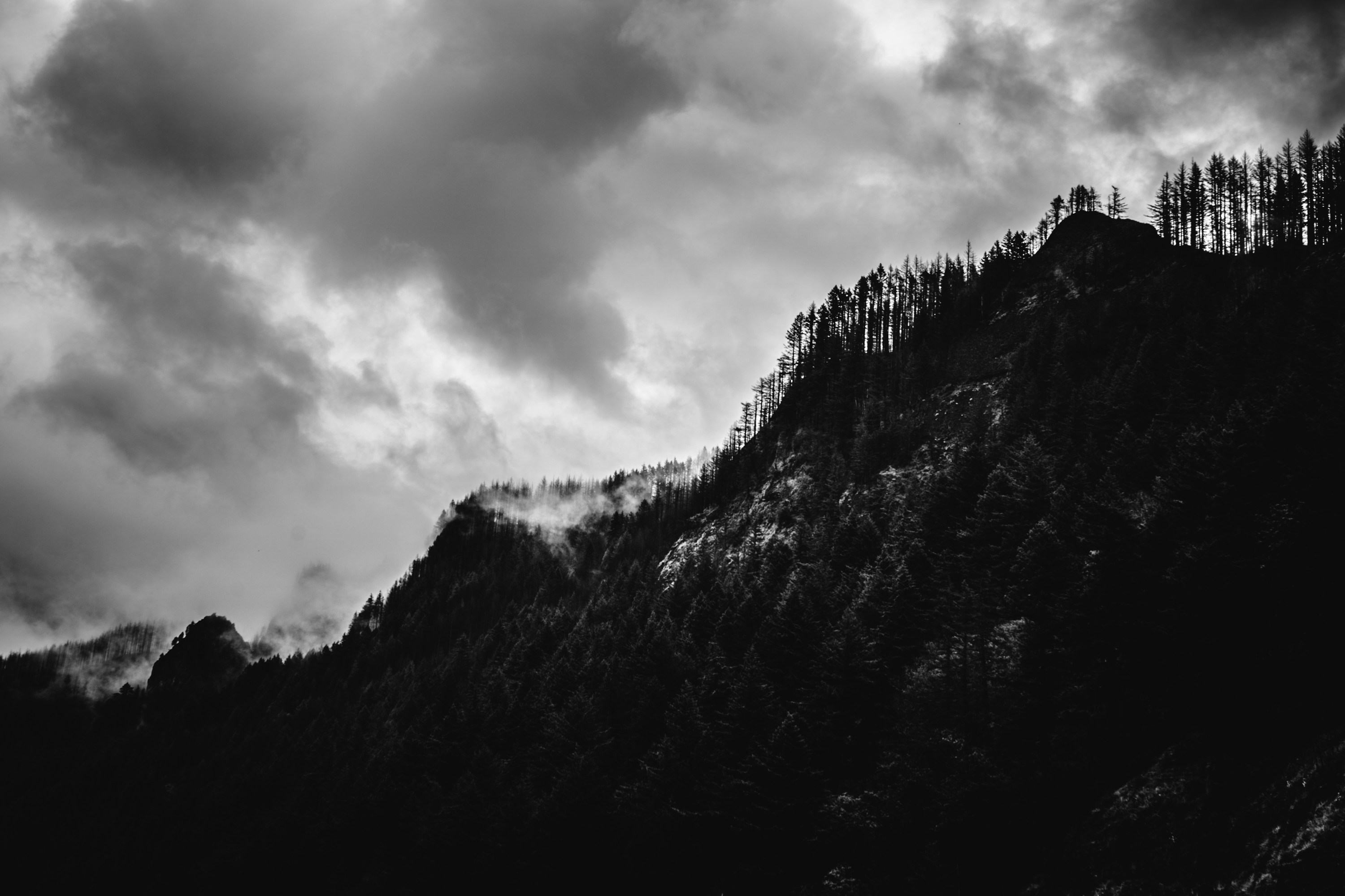 Photo by deadbolttay