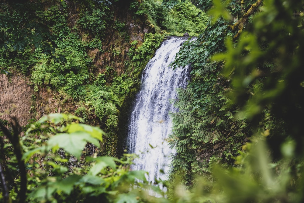 long-exposure photography of waterfalls