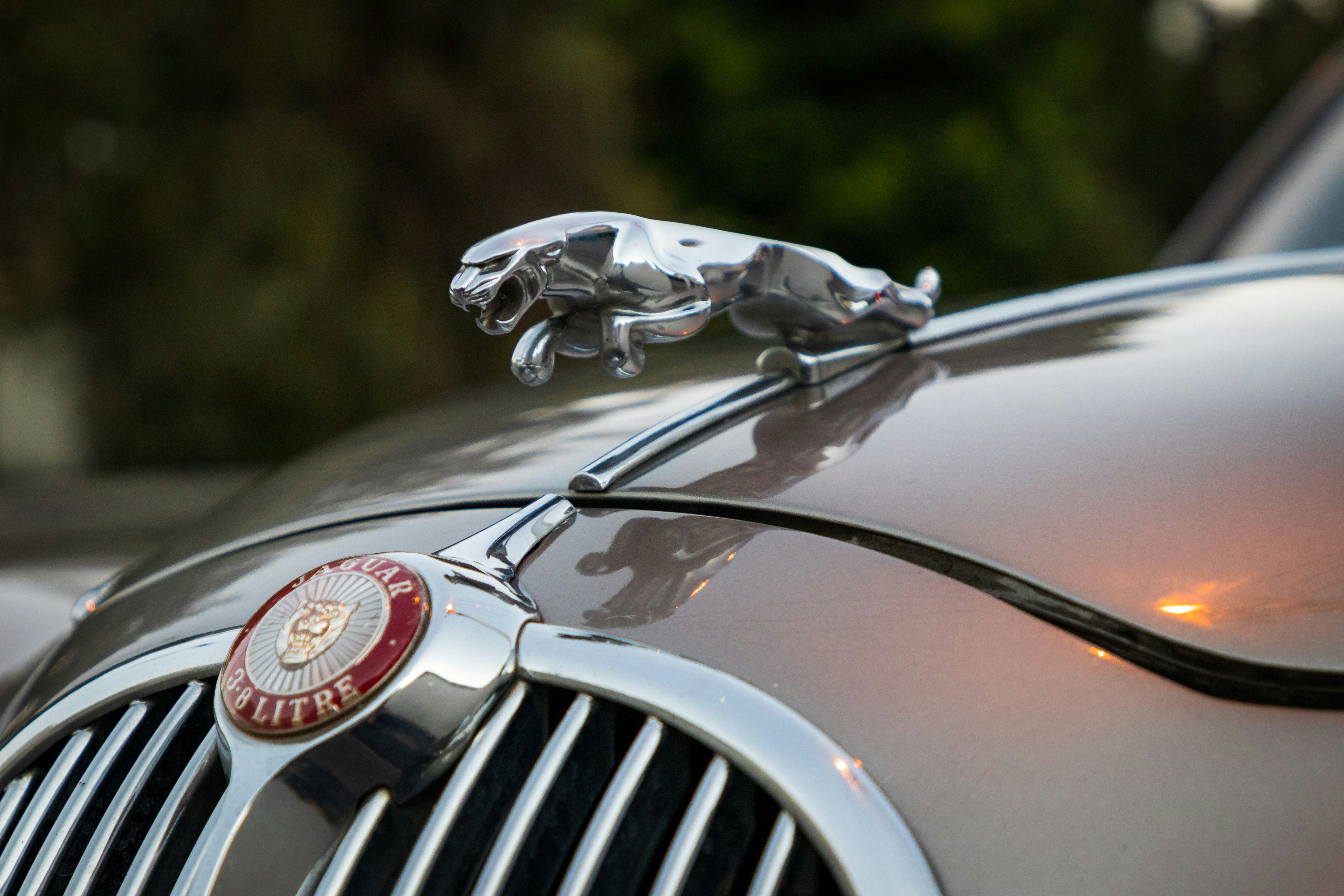 灰色のジャガー車の写真 Unsplashで見つけるグレーの無料写真