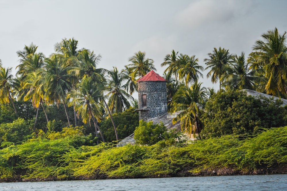 gray tower buildings surrounded with tree