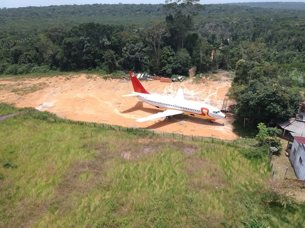 airplane landed near tree