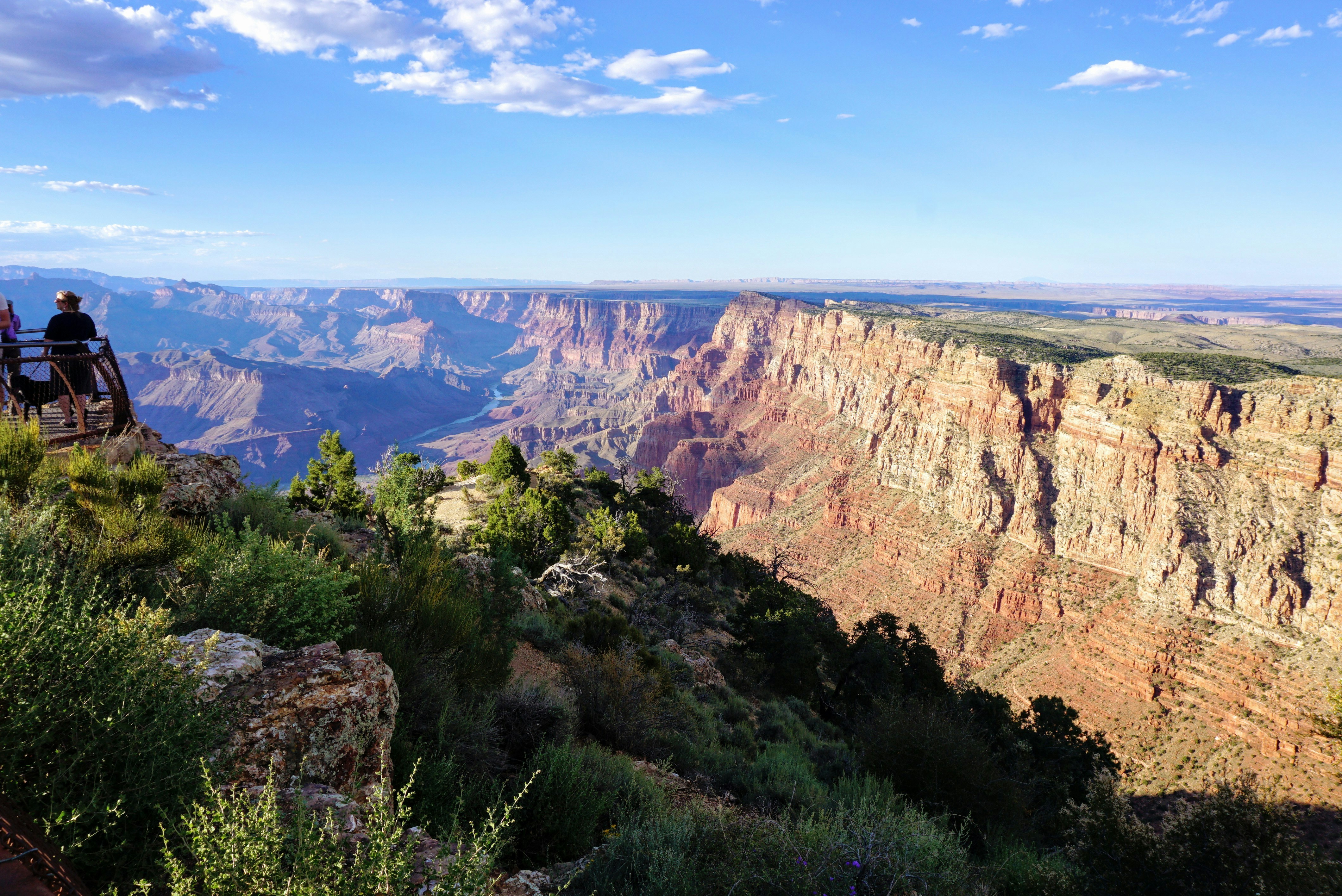 Photo by rickysinghy