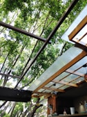 A structure with a transparent, partial roof made of glass or plastic panels supported by a wooden frame. This is surrounded by tall trees with thick green foliage, allowing natural light to filter through. The lower section of the image shows a café or outdoor bar area with hanging glass lights and a counter with cups and bottles.