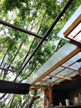 A structure with a transparent, partial roof made of glass or plastic panels supported by a wooden frame. This is surrounded by tall trees with thick green foliage, allowing natural light to filter through. The lower section of the image shows a café or outdoor bar area with hanging glass lights and a counter with cups and bottles.