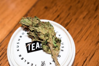 A cannabis bud lying on a white circular lid with text around the edge, placed on a wooden surface.