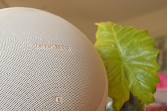 A close-up view of a Harman Kardon wireless speaker with a textured mesh surface. Adjacent to the speaker is a large, vibrant green leaf, suggesting a natural and modern aesthetic.