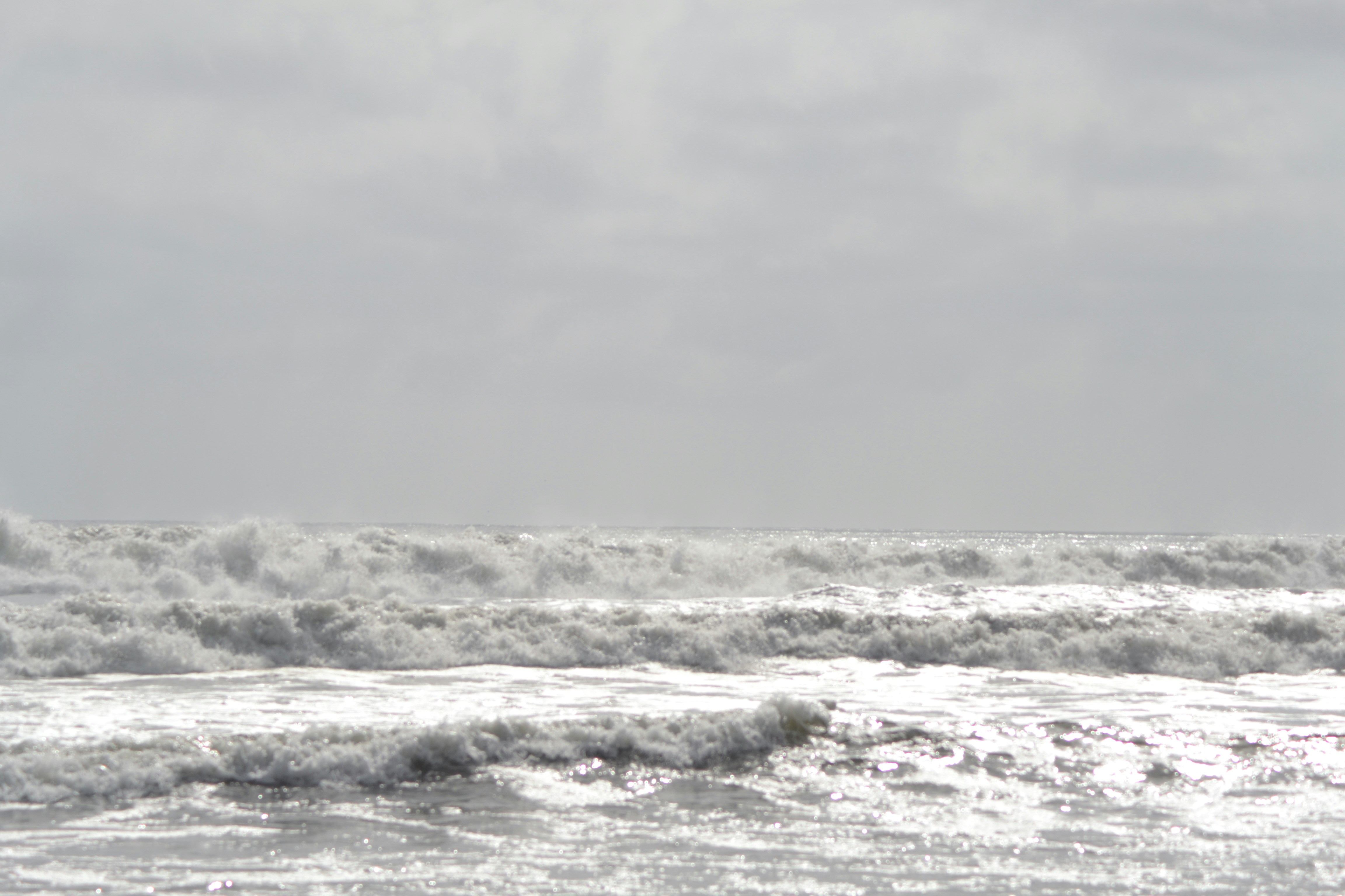 Photo by sarahesturgis