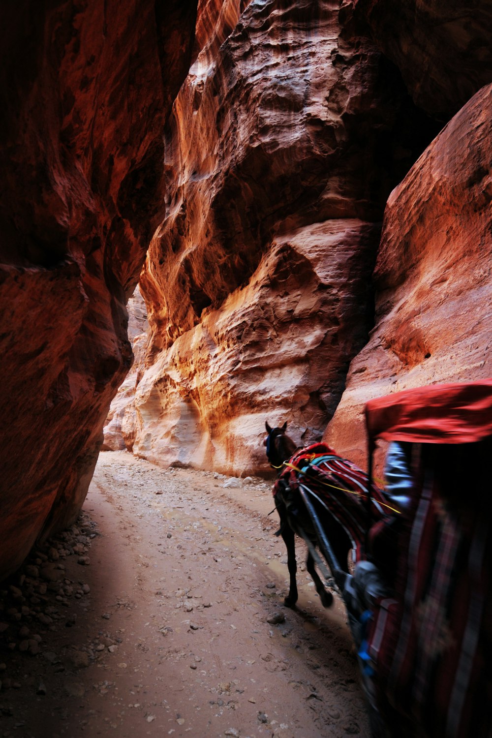 horse carriage in between rock canyon