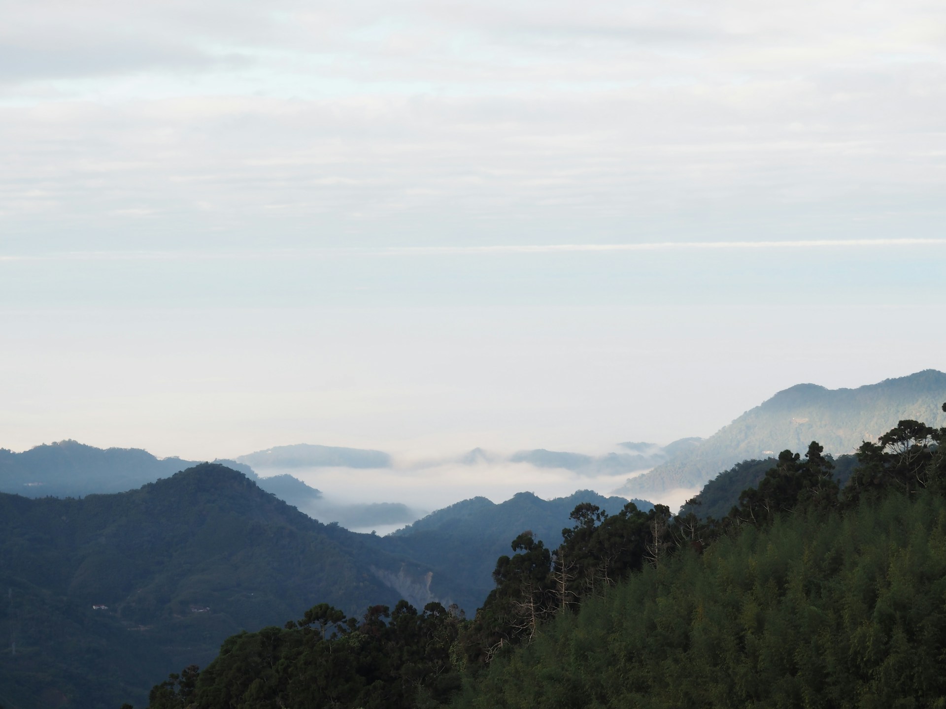 A misty highland landscape with soft light filtering through dense fog over a páramo ecosystem.