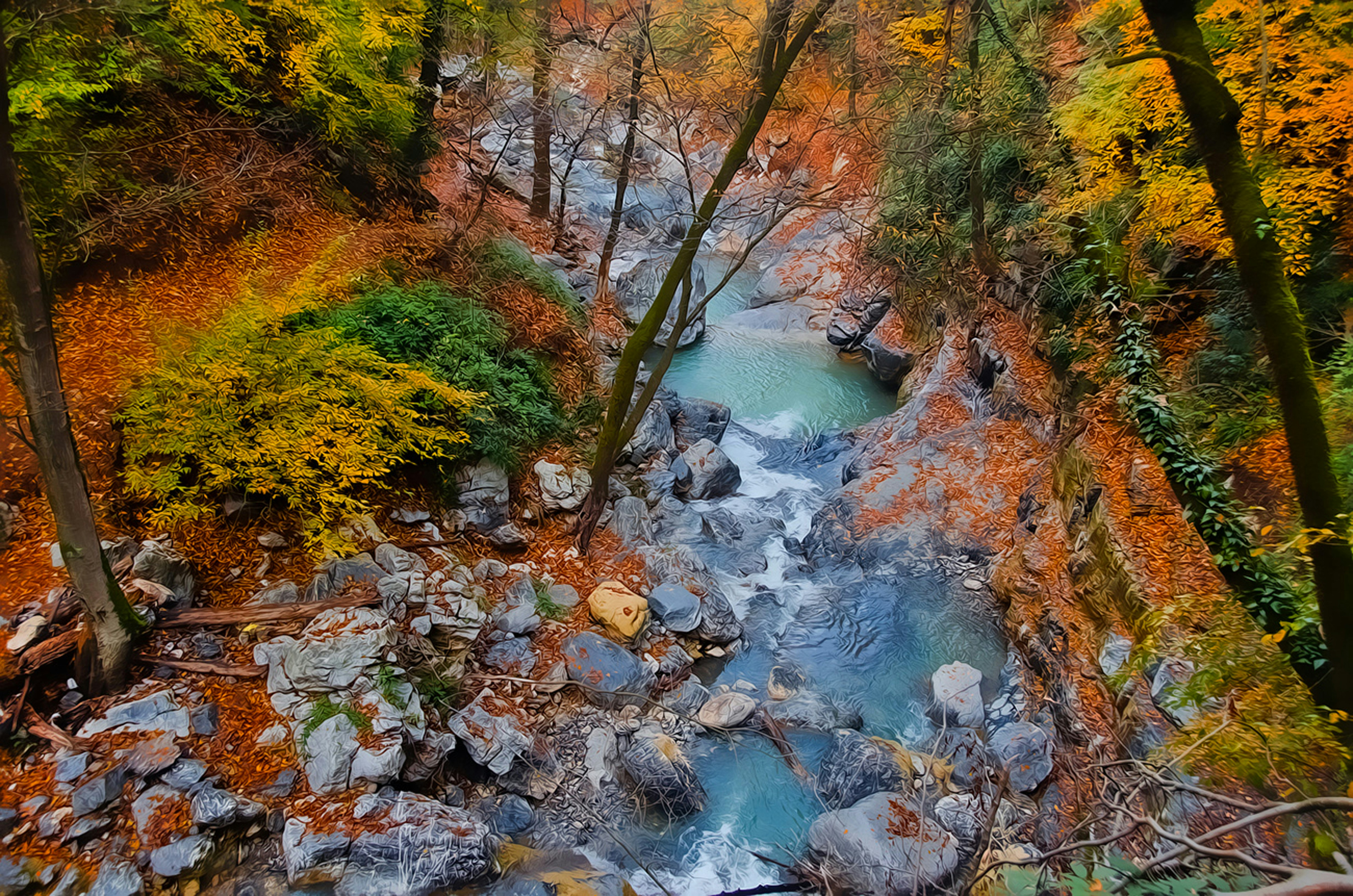 Photo by mojtabahoseini