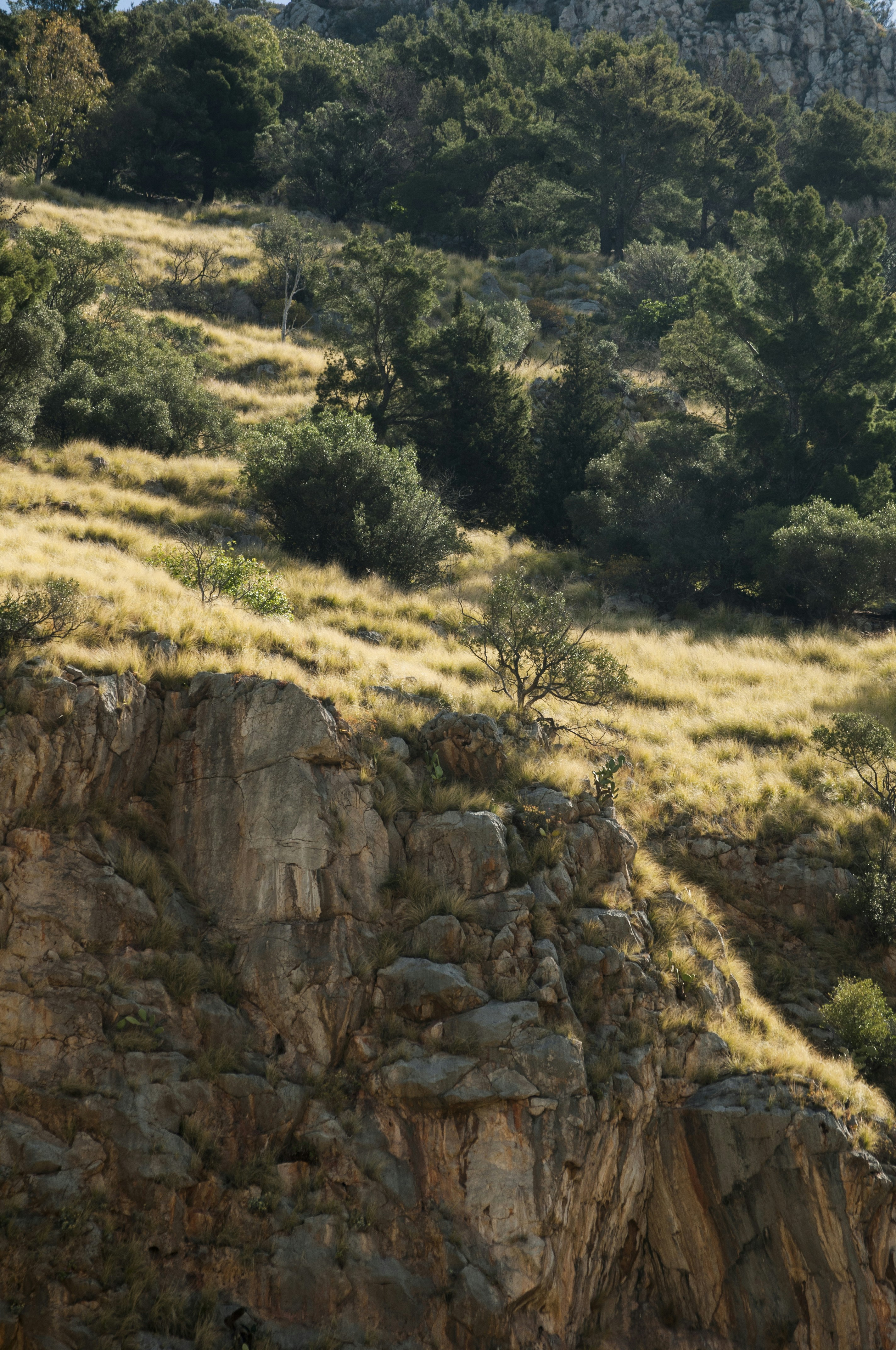 Photo by yuli_superson