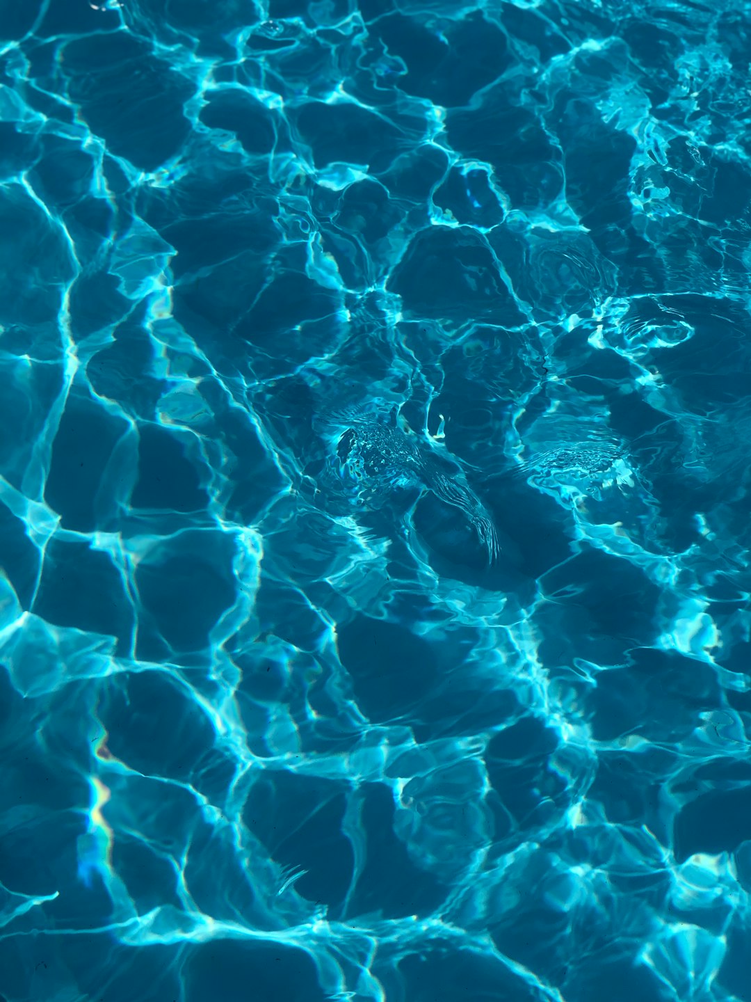 Pool Mosaics In Glass, Porcelain, and Ceramics