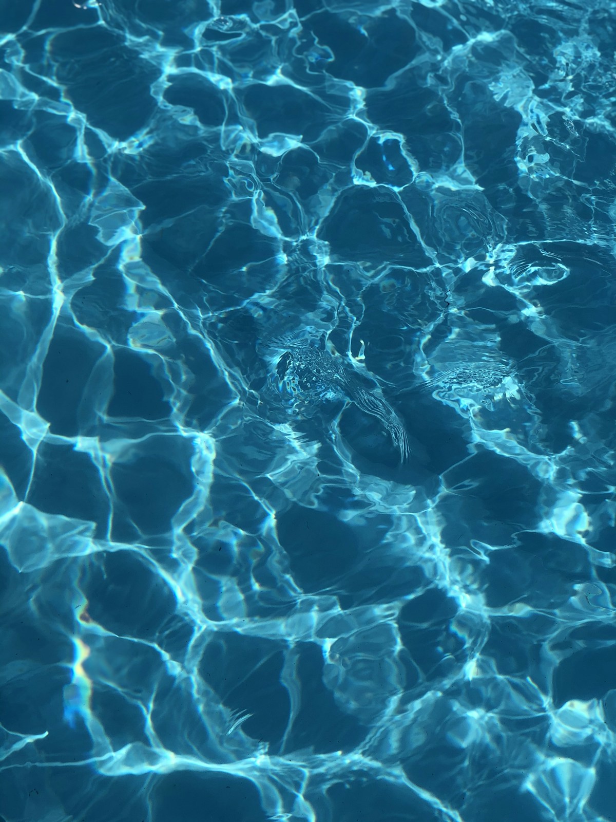 Baby Swimming Lessons