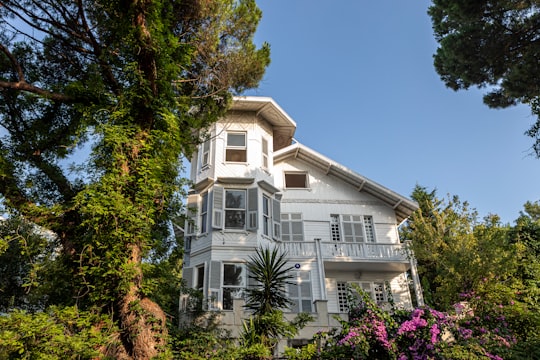 white house near trees and flowers during day in Dil Burnu Tabiat Parkı Turkey