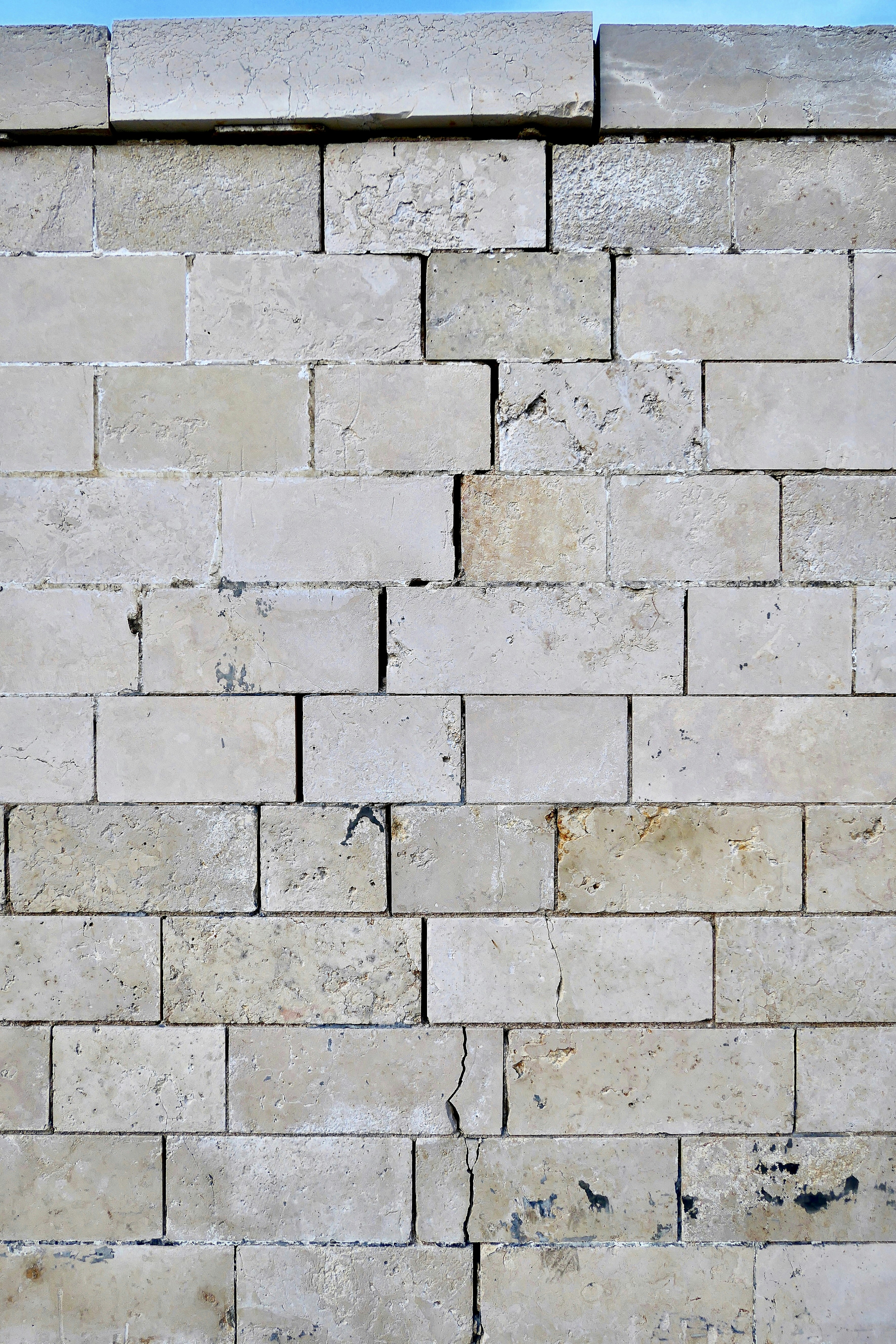 Photo by massimovirgilio