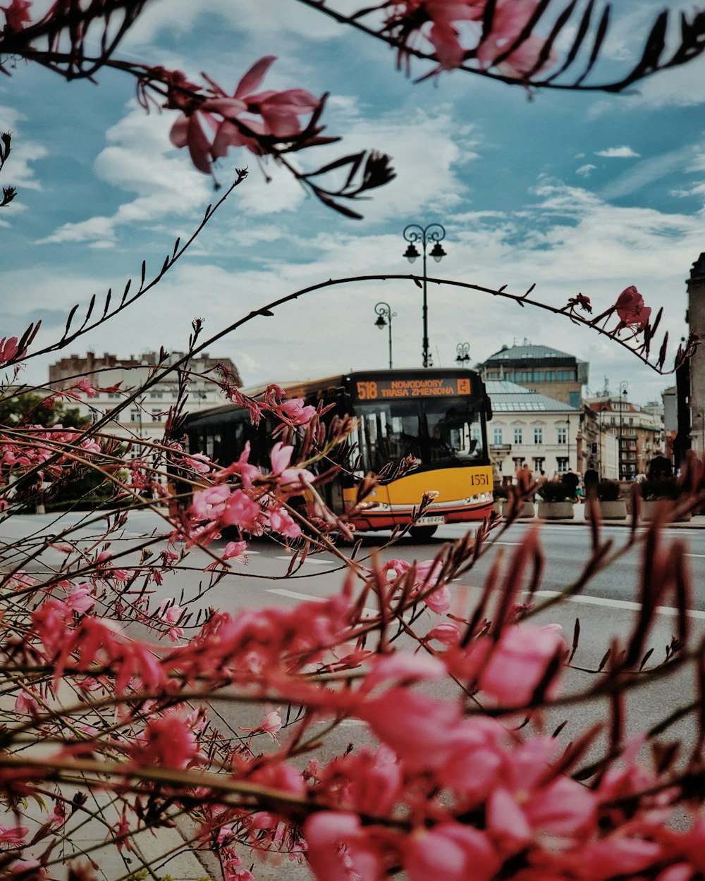 bus on road