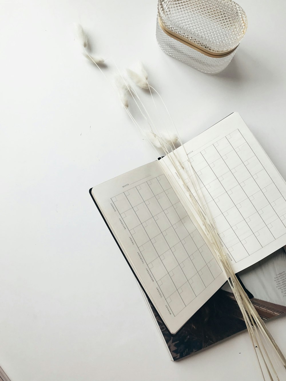 monthly planner book on white surface