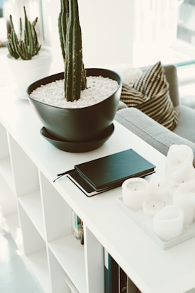 A modern and minimalistic indoor space features a large black pot containing a tall cactus surrounded by white pebbles. Nearby, there is a white pot with another cactus, a stack of black notebooks, and a tray with white candles displayed on a white shelf. A striped cushion is visible on a gray sofa.