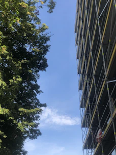 scaffolding near trees